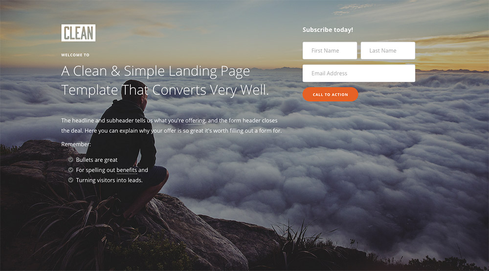 CLEAN-Landing-Page-2-column-Preview