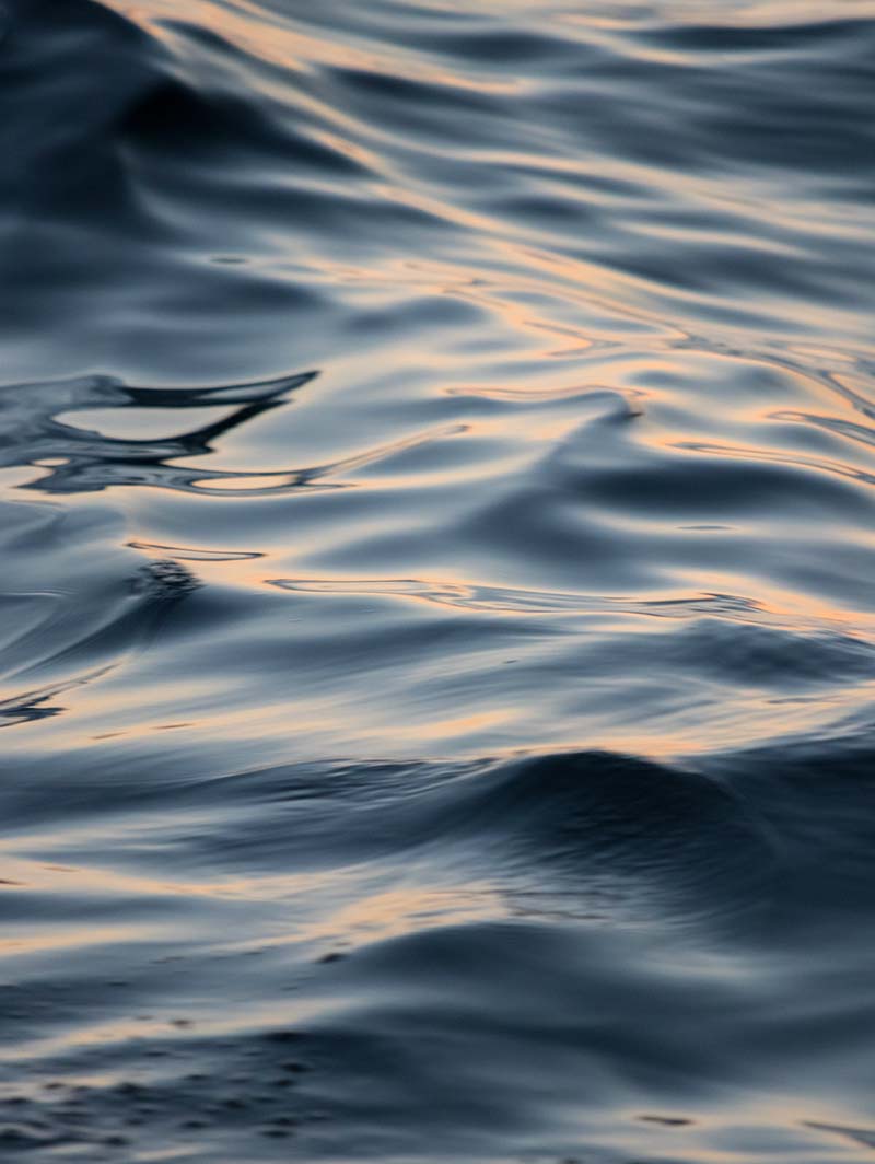 wave-4